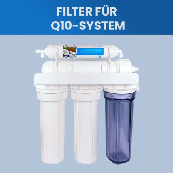 System Q10